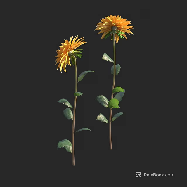 Yellow Flowers In Vase With Green Leaves And Stems On Black Background 3d model 