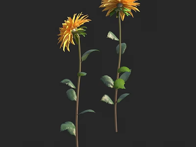 Yellow Flowers In Vase With Green Leaves And Stems On Black Background 3d model