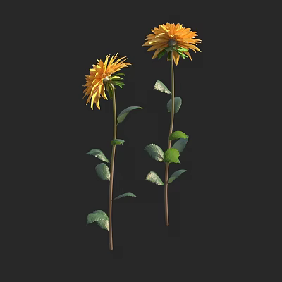 Yellow Flowers In Vase With Green Leaves And Stems On Black Background 3d model