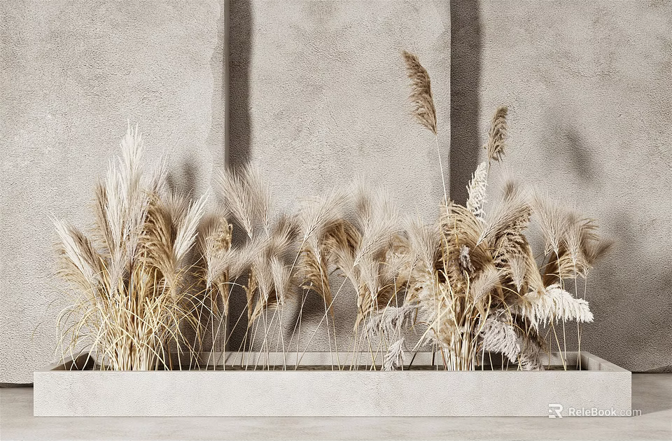 Natural Dried Pampas Flowers And Grass In Rectangular Concrete Planter Against Gray Wall 3d model 