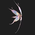 Delicate Vibrant Iridescent Fairy Wings With Colorful Gradient On Black Background