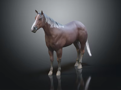 3D Model Of Brown Horse With White Mane On Black Background And Reflection 3d model