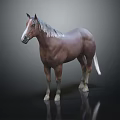 3D Model Of Brown Horse With White Mane On Black Background And Reflection 3d model