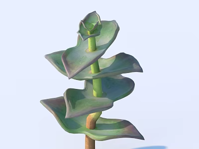Succulent Plant With Spiral Arranged Green Leaves Purple Edges And Brown Stem 3d model