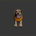 Cute Puppy Wearing Orange Vest With PAMPETS Text Standing On Black Surface