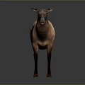 3D Rendered Standing Deer With Light And Dark Brown Fur On Gray Background