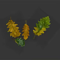 Colorful Oak Leaves Floating On Gray Background With Yellow Orange And Green Tones And Reflection