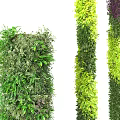 Vertical Green Wall Design With Lush Foliage And Various Plant Species