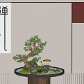 Bonsai Tree With Curved Trunk Green Leaves Small Pavilion And Moss In Black Pot