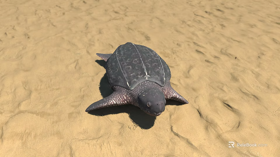 Reptile Sea Turtle Lying On Sandy Beach With Natural Habitat Scene 3d model 