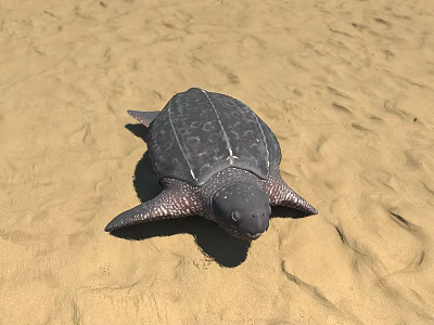 Reptile Sea Turtle Lying On Sandy Beach With Natural Habitat Scene 3d model