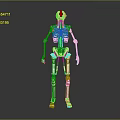 Detailed Robotic Skeleton Limbs With Mechanical Arms Legs Joints And Structures