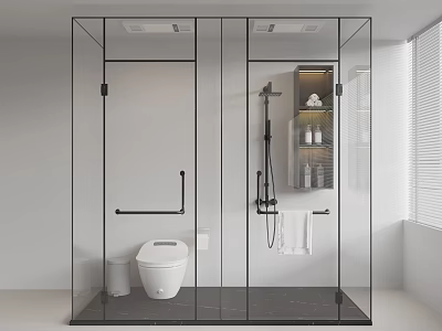 Modern Bathroom Featuring Glass Shower Enclosure Toilet And Shelf With Toiletries 3d model