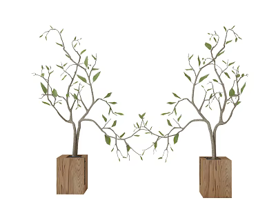 potted plant 3d model