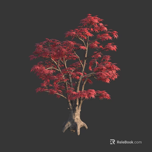 Vibrant Red Leaf Tree with Gnarled Trunk and Lush Foliage 3d model 