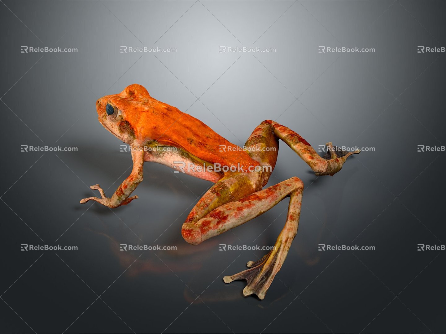 Frog Frog Frog Poison Frog Game Frog Reptile Cold Blooded Animal Reptile Reptile 3d model