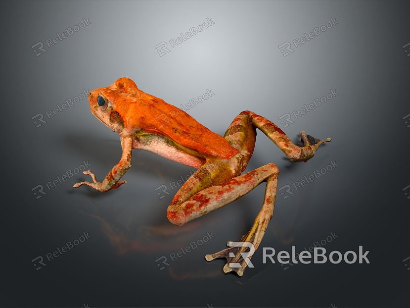 Frog Frog Frog Poison Frog Game Frog Reptile Cold Blooded Animal Reptile Reptile model