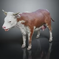 Realistic 3D Cow Model With Brown And White Fur For Design Projects 3d model
