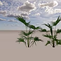 Two Green Palm Shrubs With Large Leaves Against Light Blue Background