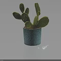 Green Cactus Plant with Prickly Pads in Blue Textured Ceramic Pot Placed on Dark Background
