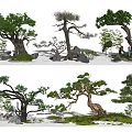 Various Forms of Arbor in Natural Landscape with Rocks and Grass Elements
