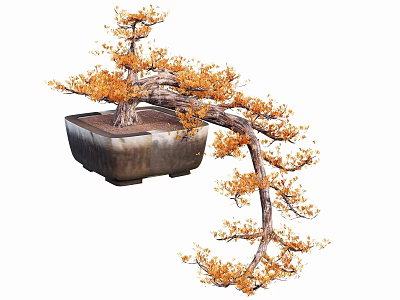 Unique Bonsai Tree With Curved Branches And Orange Yellow Leaves In Square Pot 3d model