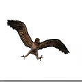 Brown Flying Eagle With Spread Wings And Yellow Talons In Dark Background 3d model