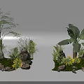 Lush Green Garden Plants Featuring Banana Tree Stones Moss Small Grass And Greenery