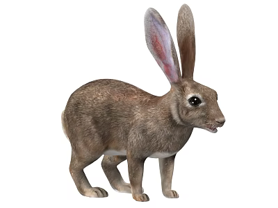 Realistic Brown Rabbit With Long Ears And Soft Fur Standing In Profile 3d model