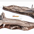 Rustic Natural Stone And Wood Driftwood Decorative Pieces With Textured Surfaces