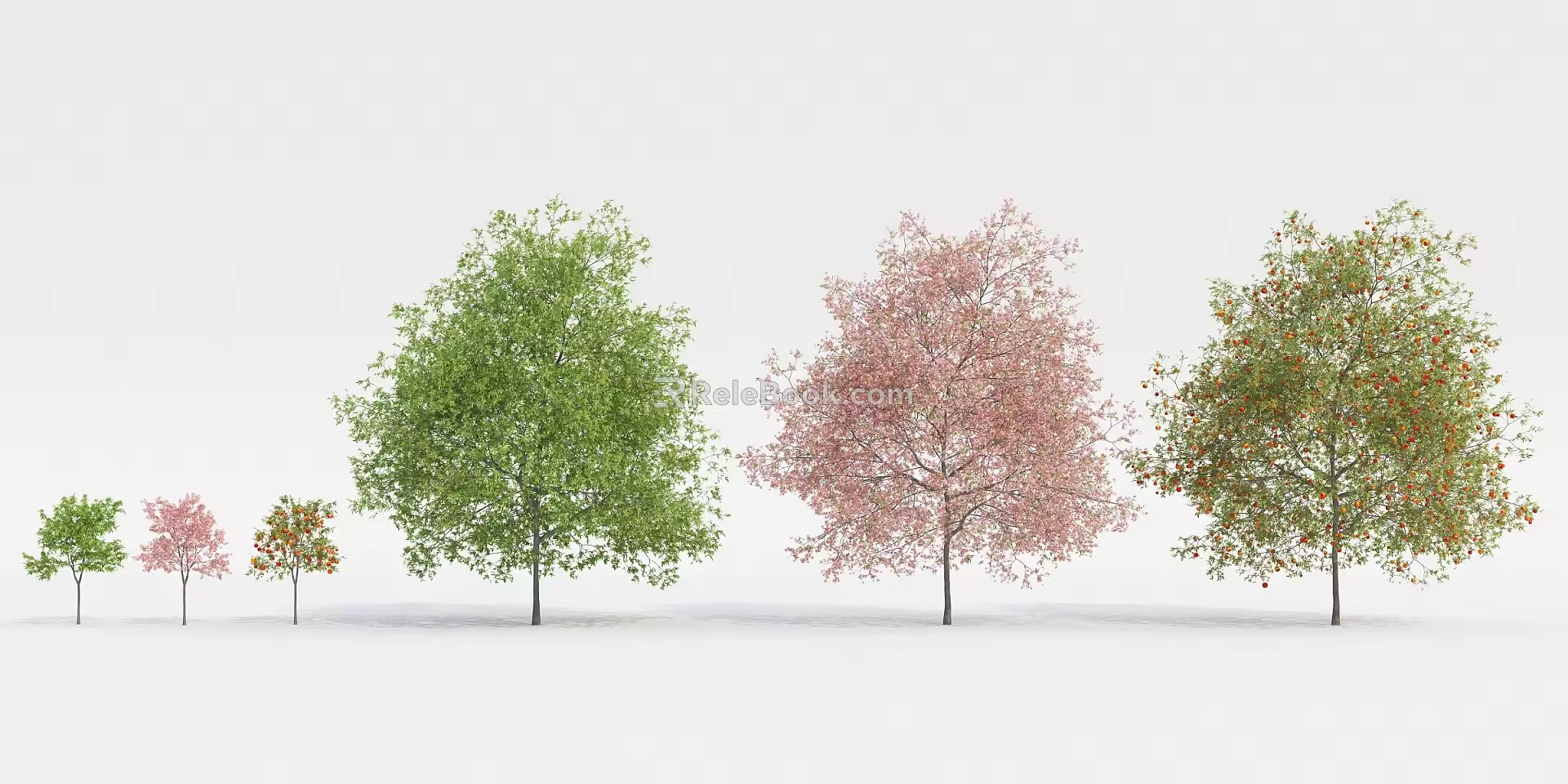 Modern Tree Fruit Tree 3d model