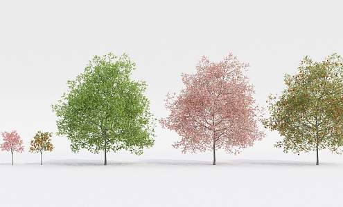 Modern Tree Fruit Tree 3d model