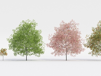 Modern Tree Fruit Tree 3d model