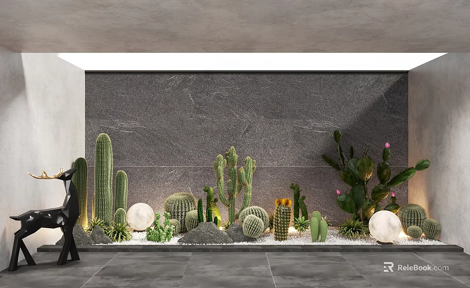 Indoor Landscape With Various Cacti Succulents Gray Wall And Spherical Decorations 3d model 