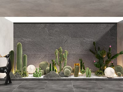 Indoor Landscape With Various Cacti Succulents Gray Wall And Spherical Decorations 3d model