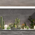 Indoor Landscape With Various Cacti Succulents Gray Wall And Spherical Decorations