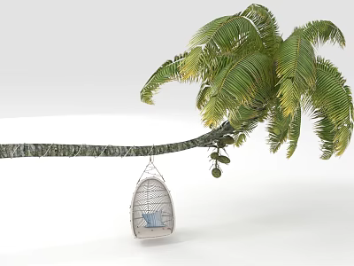 Palm Tree With Long Branch Lush Green Leaves And Hanging Decorative Birdcage Swing 3d model