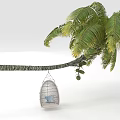 Palm Tree With Long Branch Lush Green Leaves And Hanging Decorative Birdcage Swing