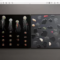 Colorful Jellyfish Fish And Various Shaped Stones With Red Accent Artwork