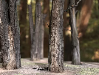 tree arbor big tree sky big tree giant tree landscape tree plant vegetation scanning tree stump scanning big tree 3d model