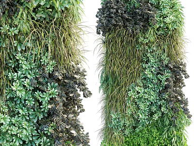 Lush Living Plant Wall Decorative Design With Various Green Foliage And Vertical Plant Arrangement 3d model