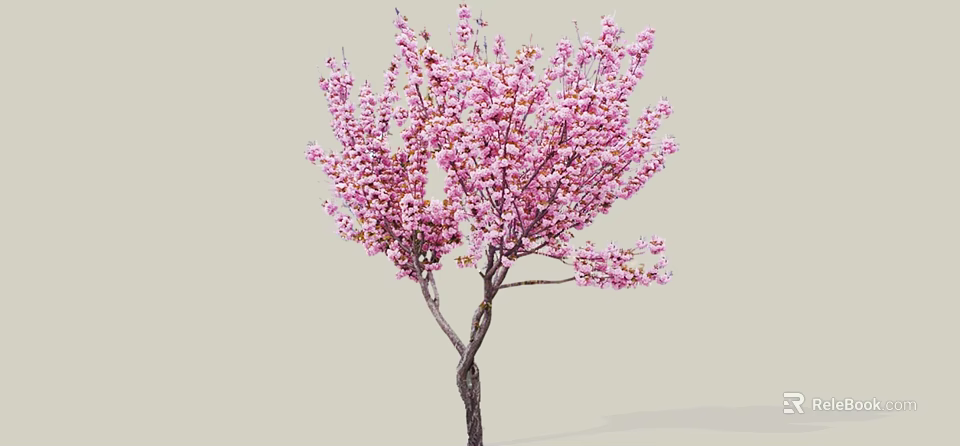 Blooming Tree With Dense Pink Flowers And Dark Twisted Trunk 3d model 