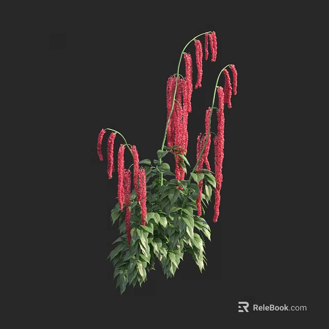 Vibrant Red Pendant Flowers With Lush Green Leaves On Black Background 3d model 