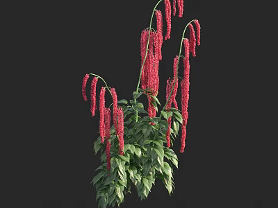 Vibrant Red Pendant Flowers With Lush Green Leaves On Black Background 3d model