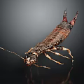 Brown Earwig With Long Antennae And Pincer Tail On Dark Background 3d model