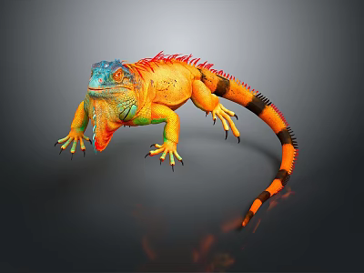 Colorful Iguana With Orange Blue Green Body And Black Orange Striped Tail On Gray Background 3d model