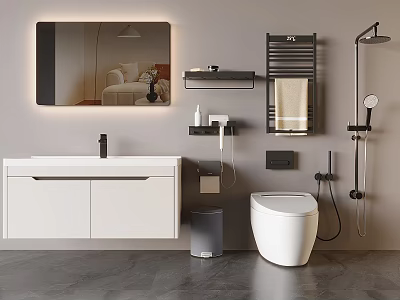 Modern Bathroom Interior Design With White Vanity Mirror Toilet Shower And Towel Rack 3d model