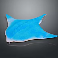 Blue Manta Ray With Vibrant Blue Color On Dark Background Showing Reflection 3d model