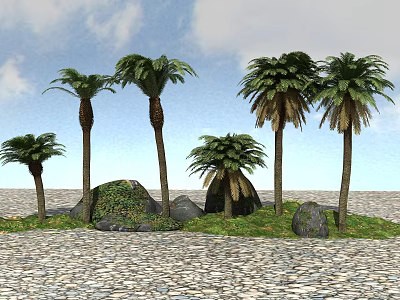 Palm Trees In Outdoor Landscape With Green Grass Rocks And Blue Sky 3d model