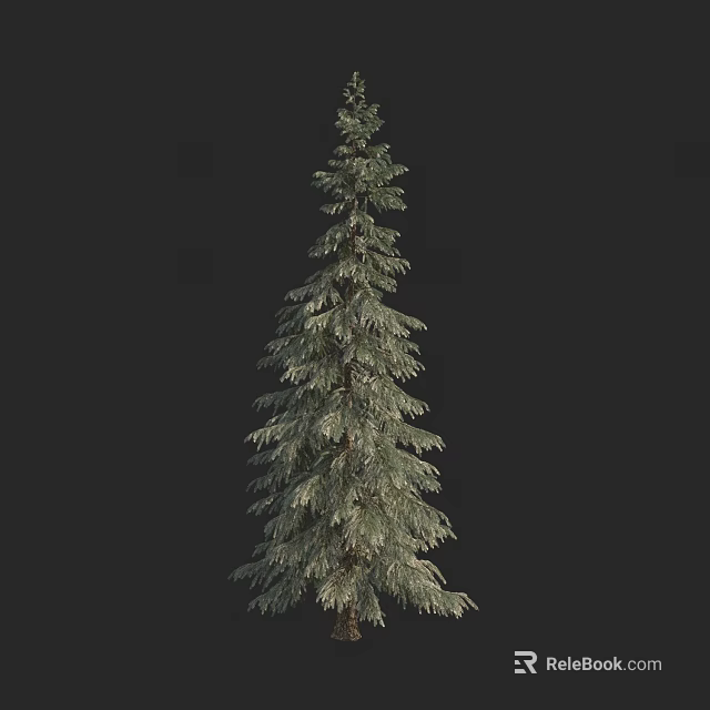 Tall Evergreen Arbor With Dense Green Foliage Isolated On Black Background 3d model 